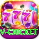 v cricket Elite v5.0.7