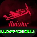 willow cricket Plus Edition v2.1.1