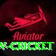 willow cricket Plus Edition v2.1.1