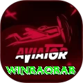 winbaobab Master Pro vv4.4.2