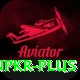 winpkr Plus v2.1.0