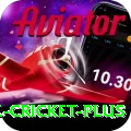 zimbabwe cricket - Live Premium